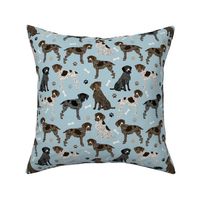 German Wirehaired Pointer Paws and Bones Blue