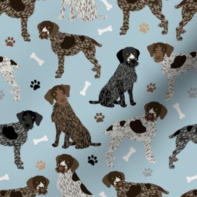 German Wirehaired Pointer Paws and Bones Blue
