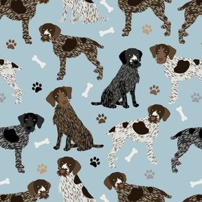 German Wirehaired Pointer Paws and Bones Blue