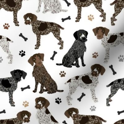 German Wirehaired Pointer Paws and Bones White