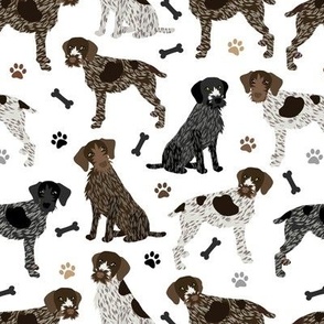 German Wirehaired Pointer Paws and Bones White