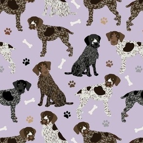 German Wirehaired Pointer Paws and Bones Purple