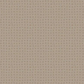 Wonky Geometric Gingham in Pale Gray on Soft, Sandy Brown (SMALL) B23013R03A