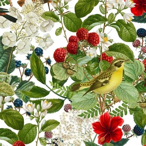 Birds And Berries Vintage Illustration With A Botanical Summer Vibe