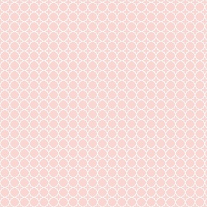 Pink coordinate for Safari Quilt