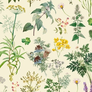 Herbs And Wildflower Vintage Botanical Floral Pattern On Beige