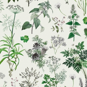 Herbs And Wildflower Vintage Botanical Floral Pattern Green Grey