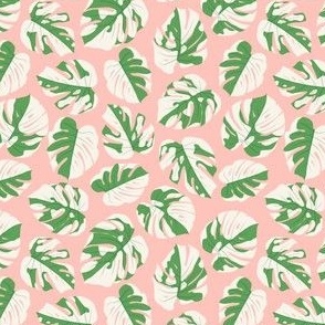 Variegated Monstera - Monstera Deliciosa Variegata - pink - home decor - indoor plants - LAD23