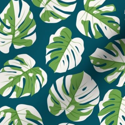 Variegated Monstera - Monstera Deliciosa Variegata - dark teal - home decor - indoor plants - LAD23