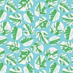 (small scale) Variegated Monstera - Monstera Deliciosa Variegata - sky blue - home decor - indoor plants - LAD23