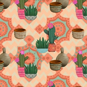 Southwestern Style Cactus in Pots 