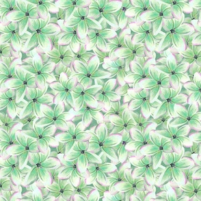 frangipani green floral