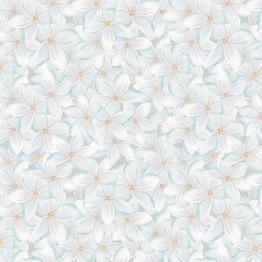 frangipani white floral 1800