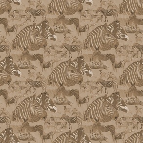 Zebra Abstract in Chocolate