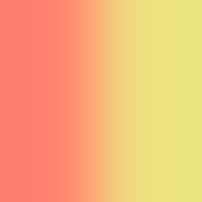 Sunrise Gradient