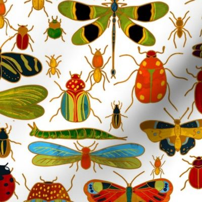 Doodle bugs beetles, butterfly, ladybugs, dragonflies centipedes, spiders and caterpillars