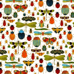 Doodle bugs beetles, butterfly, ladybugs, dragonflies centipedes, spiders and caterpillars
