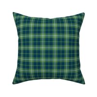 Plaid green and blue