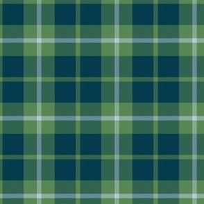 Plaid green and blue
