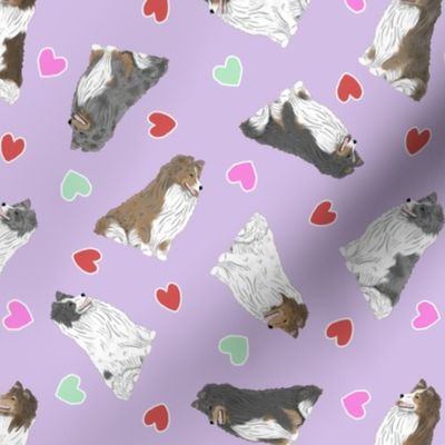 Tiny assorted Shetland Sheepdogs - Valentine hearts