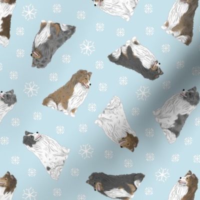 Tiny assorted Shetland Sheepdogs - winter snowflakes