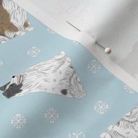 Tiny assorted Shetland Sheepdogs - winter snowflakes