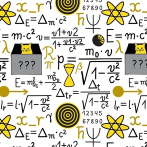 Physics formula, symbols and Schrodingers cat