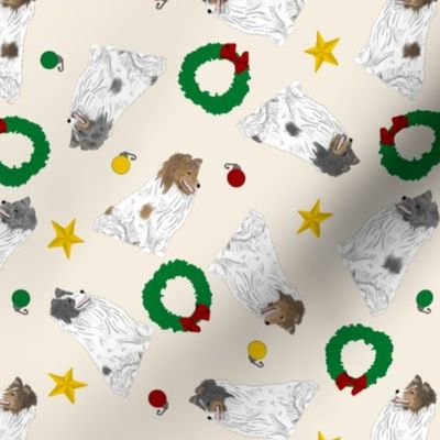 Tiny color head white Shetland Sheepdogs - Christmas