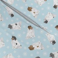Tiny color head white Shetland Sheepdogs - winter snowflakes