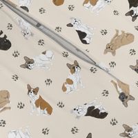 Tiny assorted French Bulldogs - tan