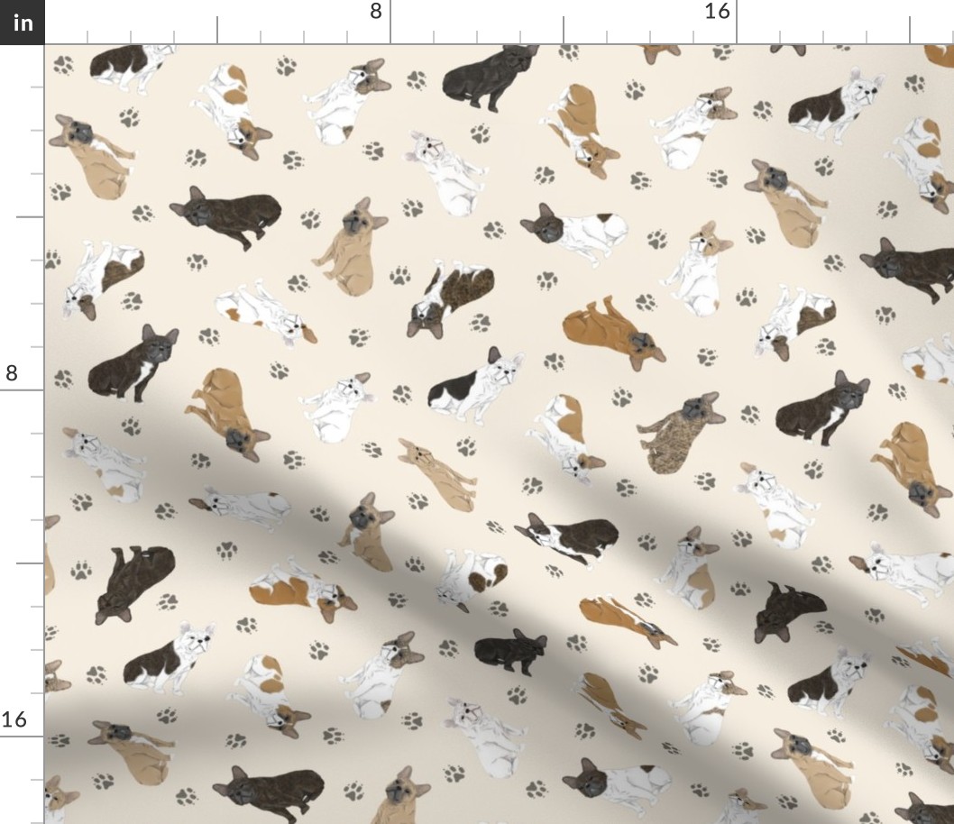 Tiny assorted French Bulldogs - tan