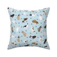 Tiny assorted French Bulldogs - blue