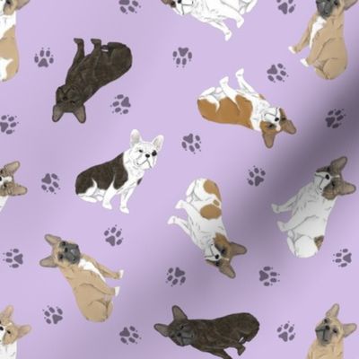 Tiny assorted French Bulldogs - purple