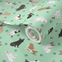 Tiny assorted French Bulldogs - green