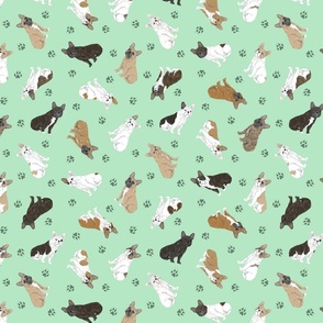 Tiny assorted French Bulldogs - green