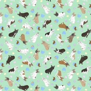Tiny assorted French Bulldogs - Easter