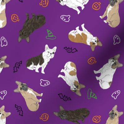 Tiny assorted French Bulldogs - Halloween