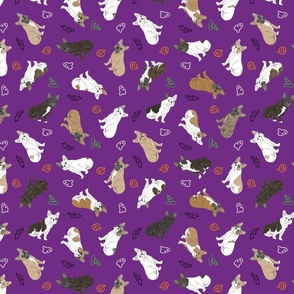 Tiny assorted French Bulldogs - Halloween