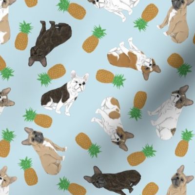 Tiny assorted French Bulldogs - pineapples