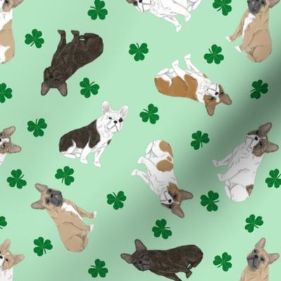 Tiny assorted French Bulldogs - shamrocks