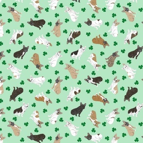 Tiny assorted French Bulldogs - shamrocks