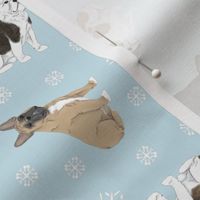Tiny assorted French Bulldogs - winter snowflakes