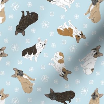 Tiny assorted French Bulldogs - winter snowflakes