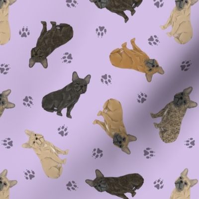 Tiny French Bulldogs - purple