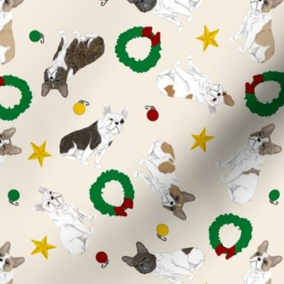 Tiny white marked French Bulldogs - Christmas