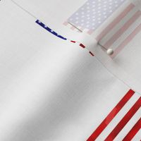 American-flag-2000