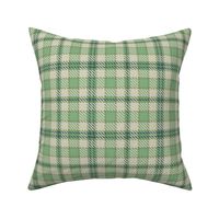 Nine Patch Plaid in Mint Cream and Teal