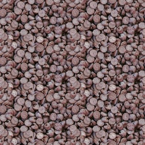 small chocolate chips