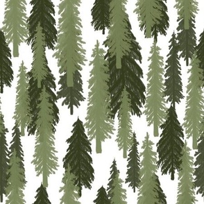 Pacific Northwest Forest Pattern