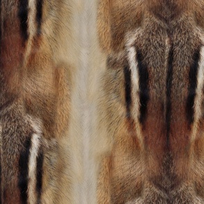 Large Photorealistic Chipmunk fur texture